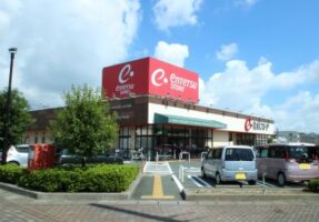 遠鉄ストア向宿店まで950ｍ　徒歩12分