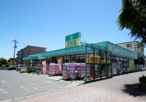 杏林堂ドラッグストア向宿店まで徒歩14分