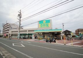 杏林堂城北店まで1500m　徒歩19分